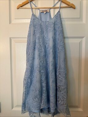 Emmelee Powder Blue Floral Lace Slip Dress